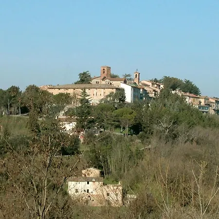 Mandorlo Citerna