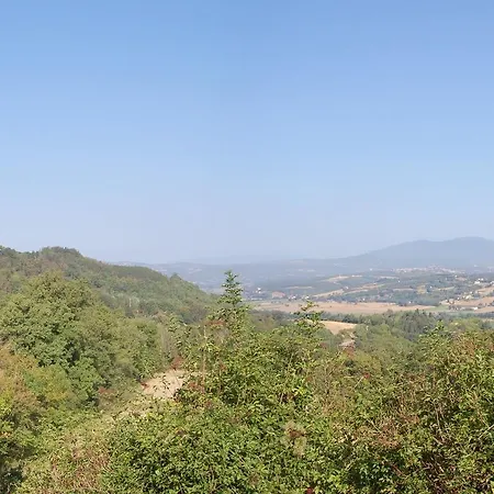 Mandorlo * Citerna